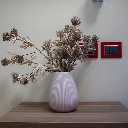 Iballe ゲストハウス